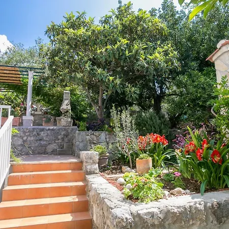 Nautilus Gasthuis Orasac