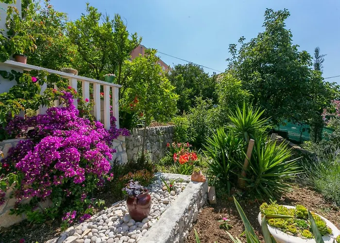Nautilus 3* Orašac