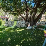 Nautilus Guest house