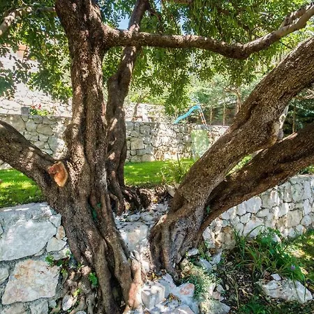 Nautilus 3* Orašac