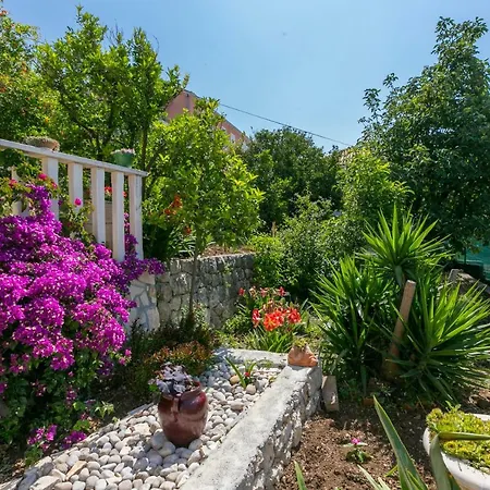 Nautilus 3* Orašac