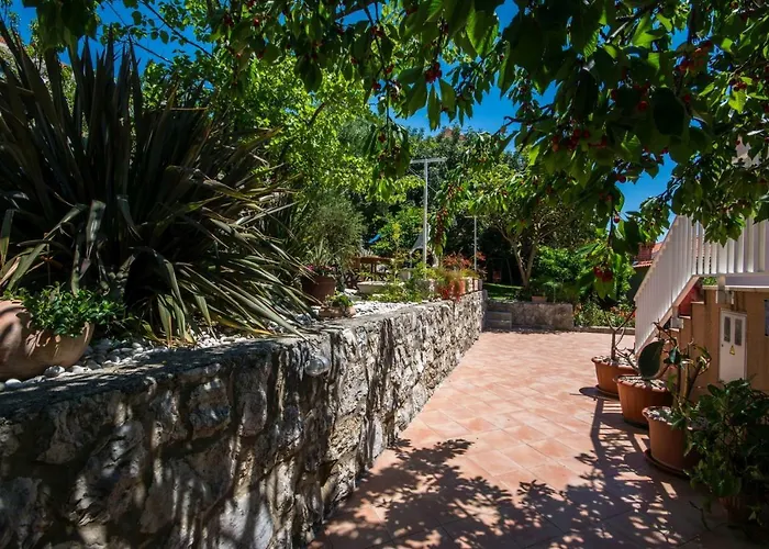 게스트하우스 Nautilus 오라사크