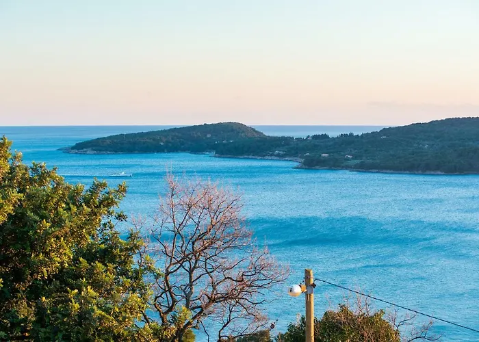 Nautilus 게스트하우스 3*