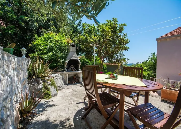 Nautilus 오라사크