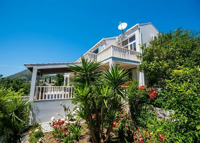 Nautilus 오라사크