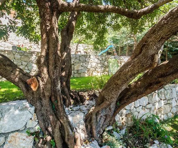 Nautilus 3* 오라사크