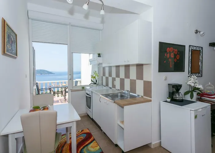 Nautilus 게스트하우스