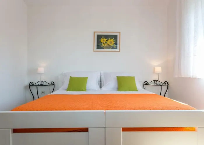 Nautilus 오라사크