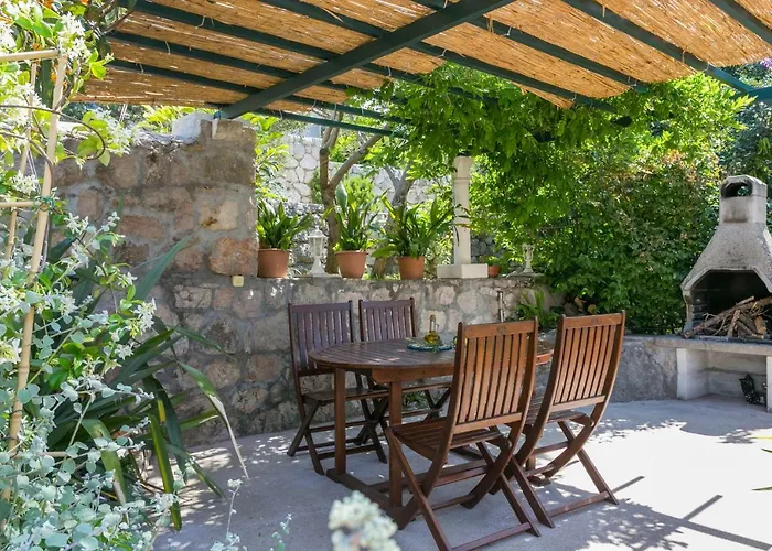 Nautilus 오라사크