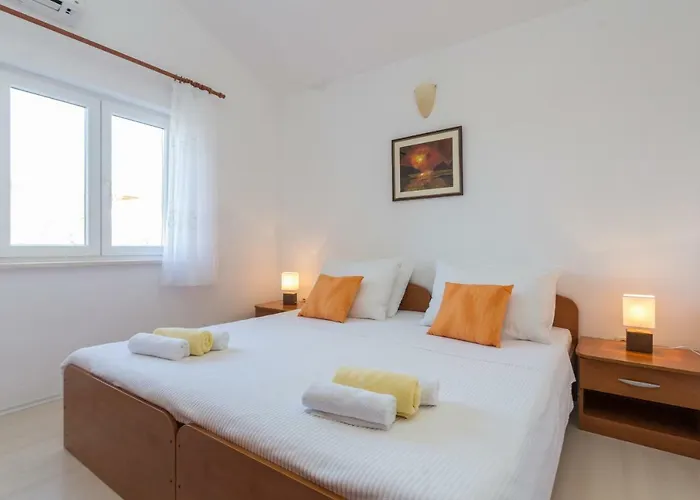 Nautilus 오라사크