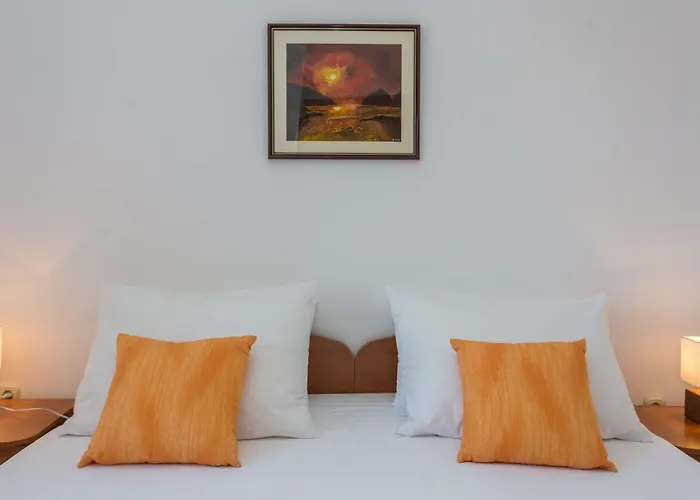 Nautilus 게스트하우스