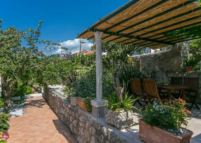 Nautilus 오라사크