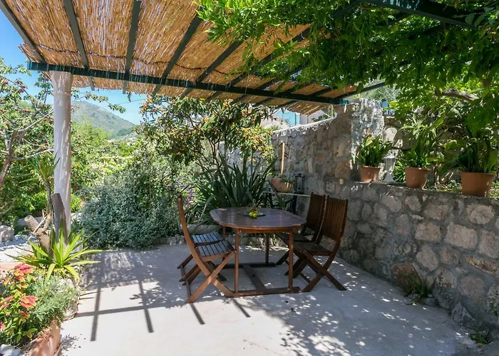 Nautilus 게스트하우스